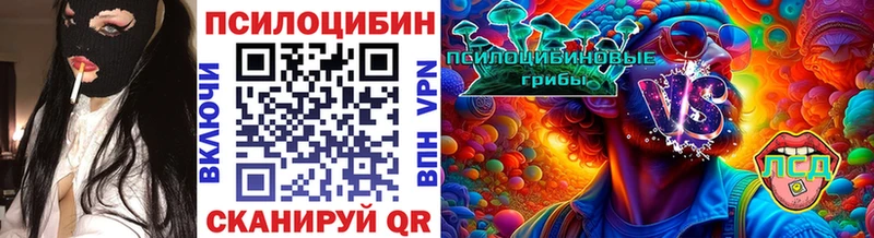 Галлюциногенные грибы GOLDEN TEACHER  omg зеркало  Североморск  даркнет сайт 